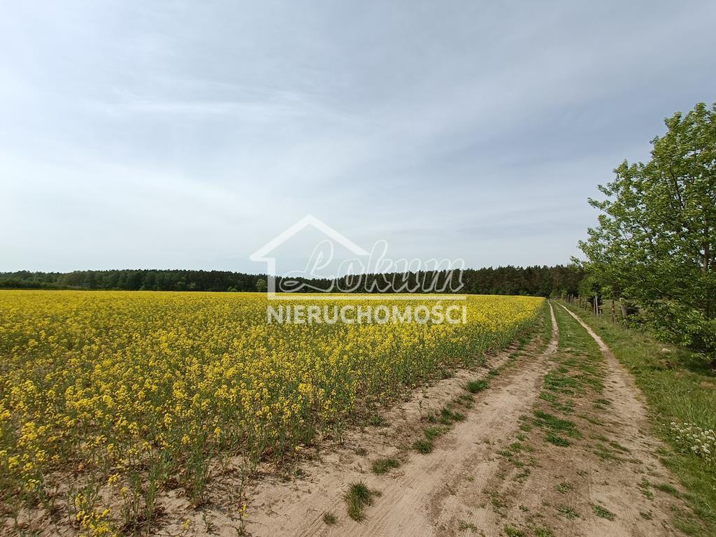 Działka rolna 1304&nbsp;m², Stawno - zdjęcie 1