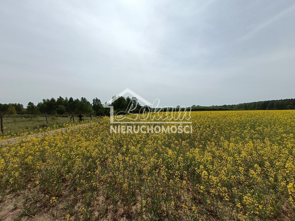 Działka rolna 1304&nbsp;m², Stawno - zdjęcie 2