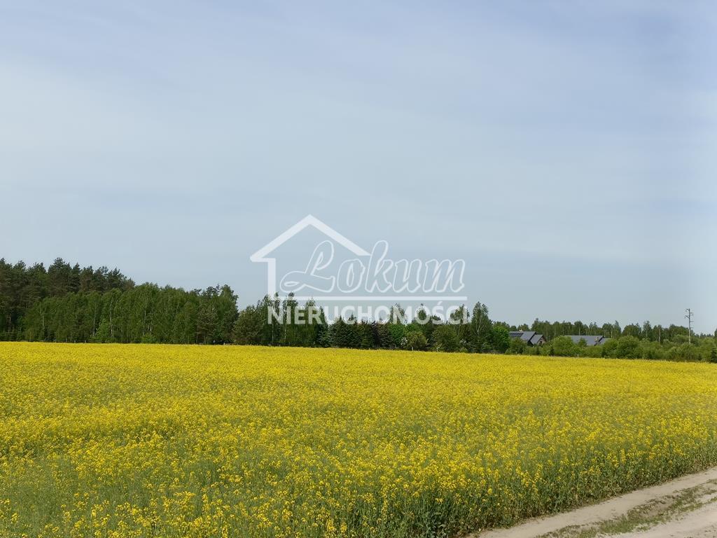 Działka rolna 1304&nbsp;m², Stawno - zdjęcie 6