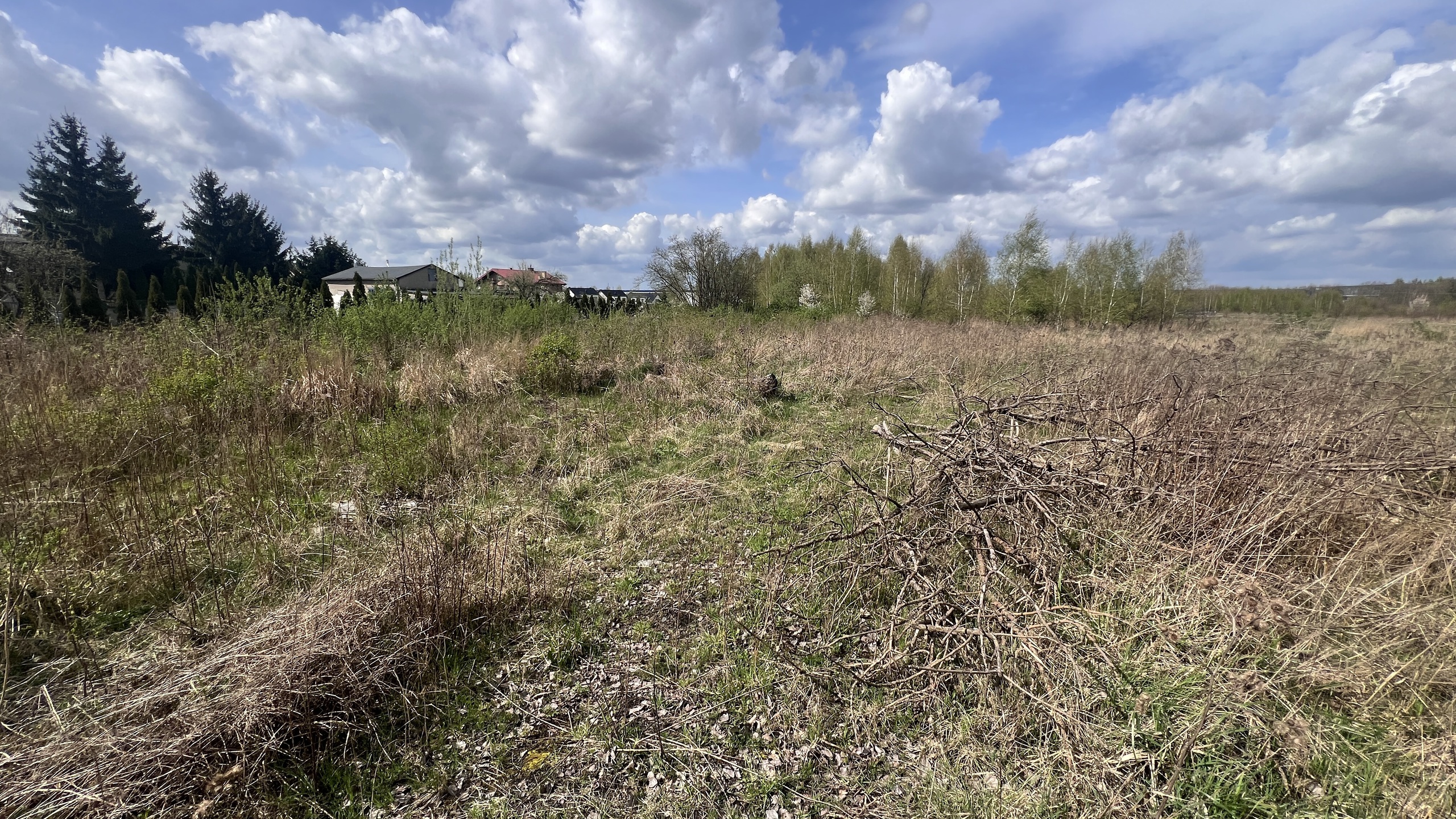 Działka ok. 1ha dla developera w Łodzi - zdjęcie 15