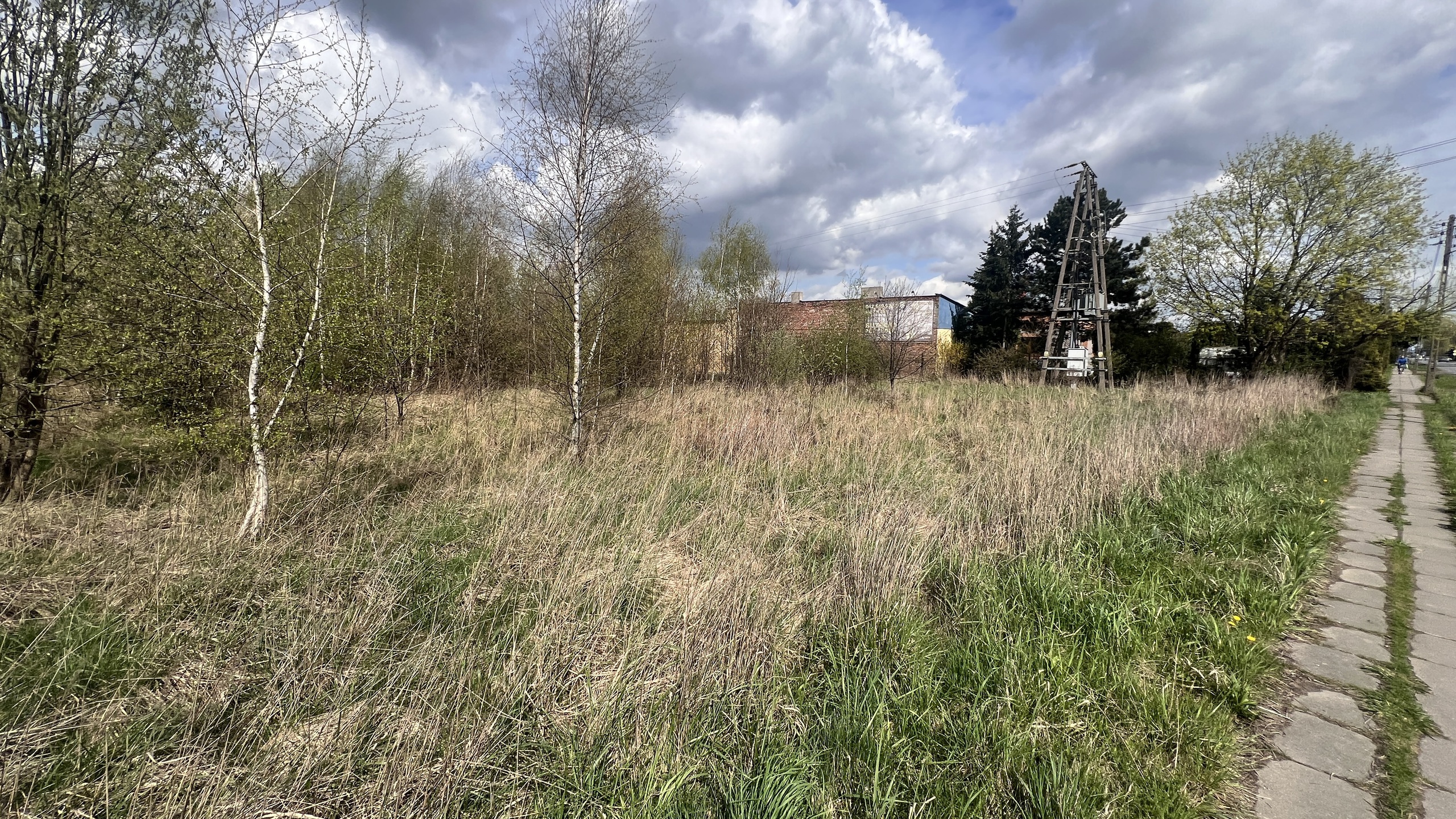 Działka ok. 1ha dla developera w Łodzi - zdjęcie 14