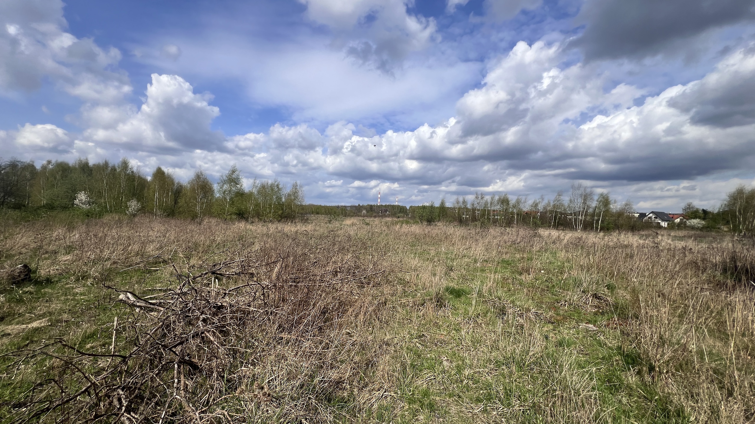 Działka ok. 1ha dla developera w Łodzi - zdjęcie 13