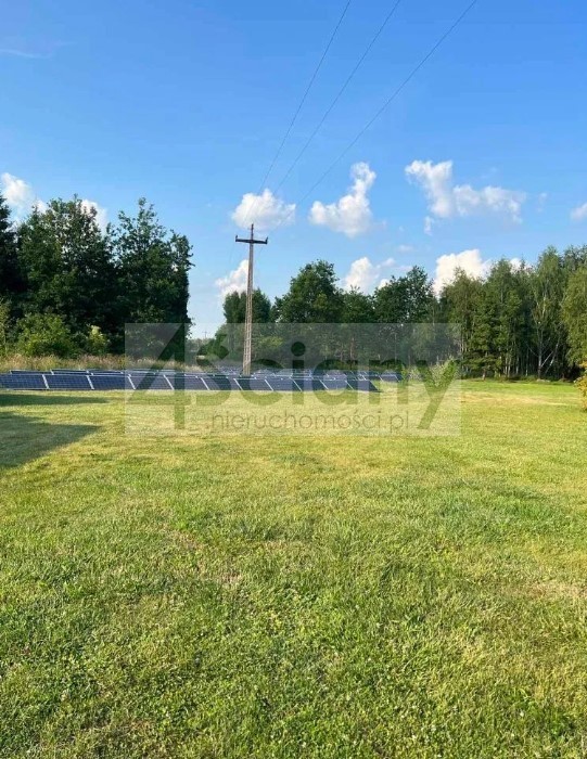 Działka inwestycyjna 5000 m², Pieńki Zarębskie - zdjęcie 9