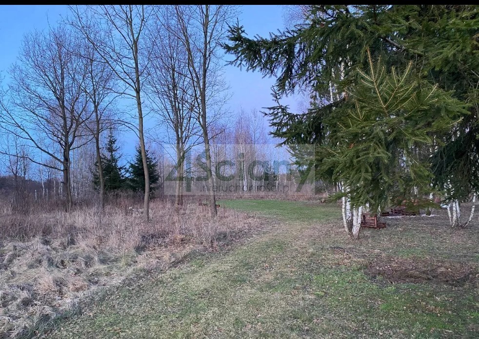 Działka inwestycyjna 5000 m², Pieńki Zarębskie - zdjęcie 12