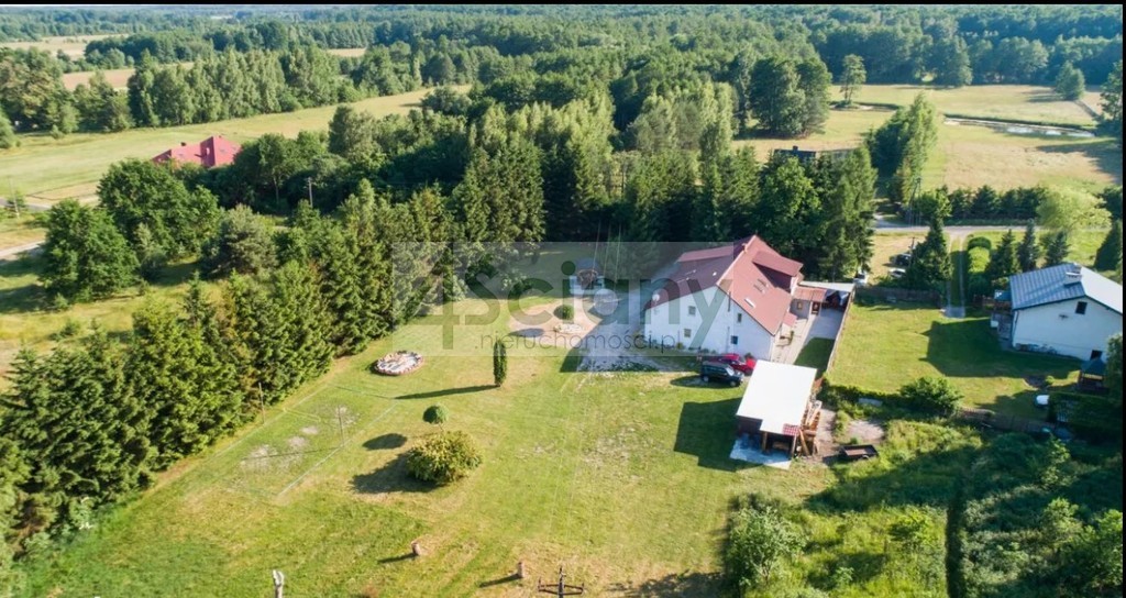 Działka inwestycyjna 5000 m², Pieńki Zarębskie - zdjęcie 3