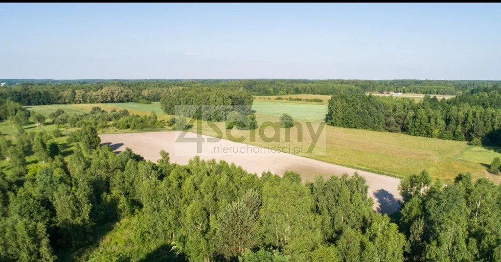 Działka inwestycyjna 5000 m², Pieńki Zarębskie - zdjęcie 2