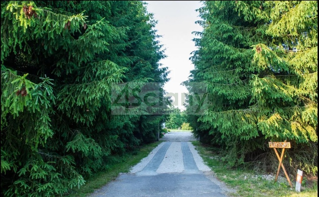 Działka inwestycyjna 5000 m², Pieńki Zarębskie - zdjęcie 1