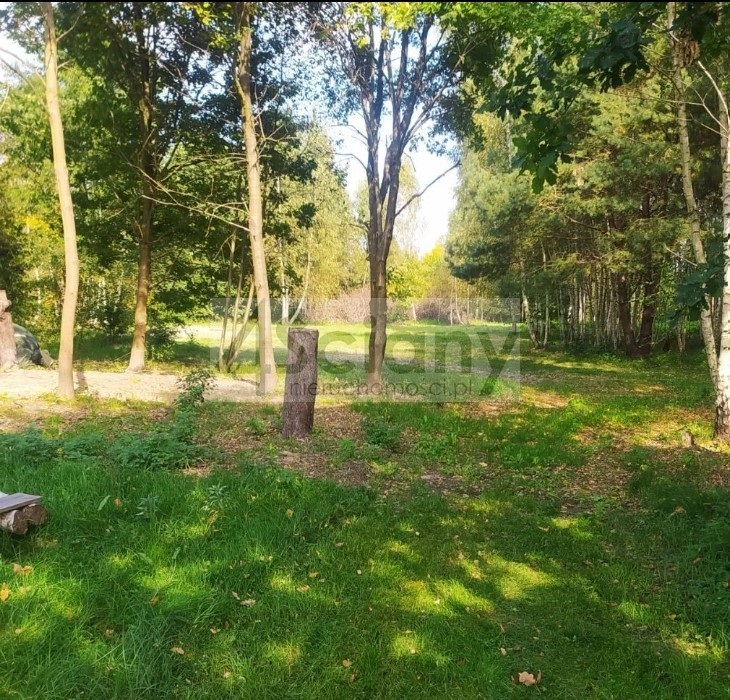 Działka inwestycyjna 5000 m², Pieńki Zarębskie - zdjęcie 7