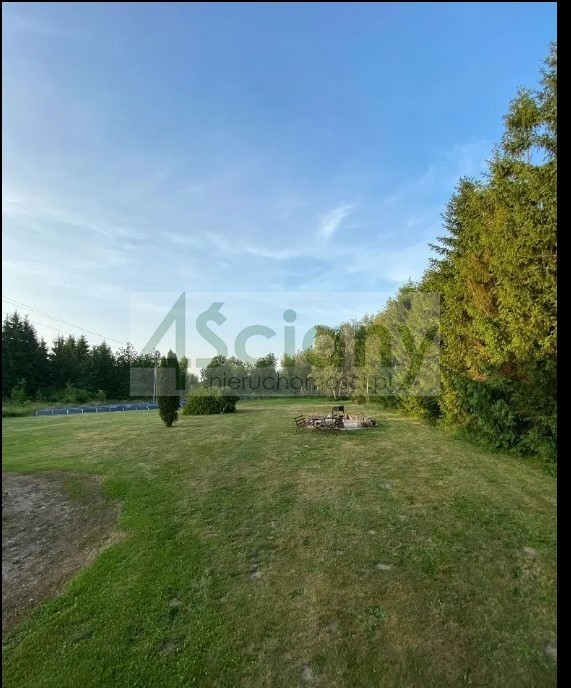 Działka inwestycyjna 5000 m², Pieńki Zarębskie - zdjęcie 10