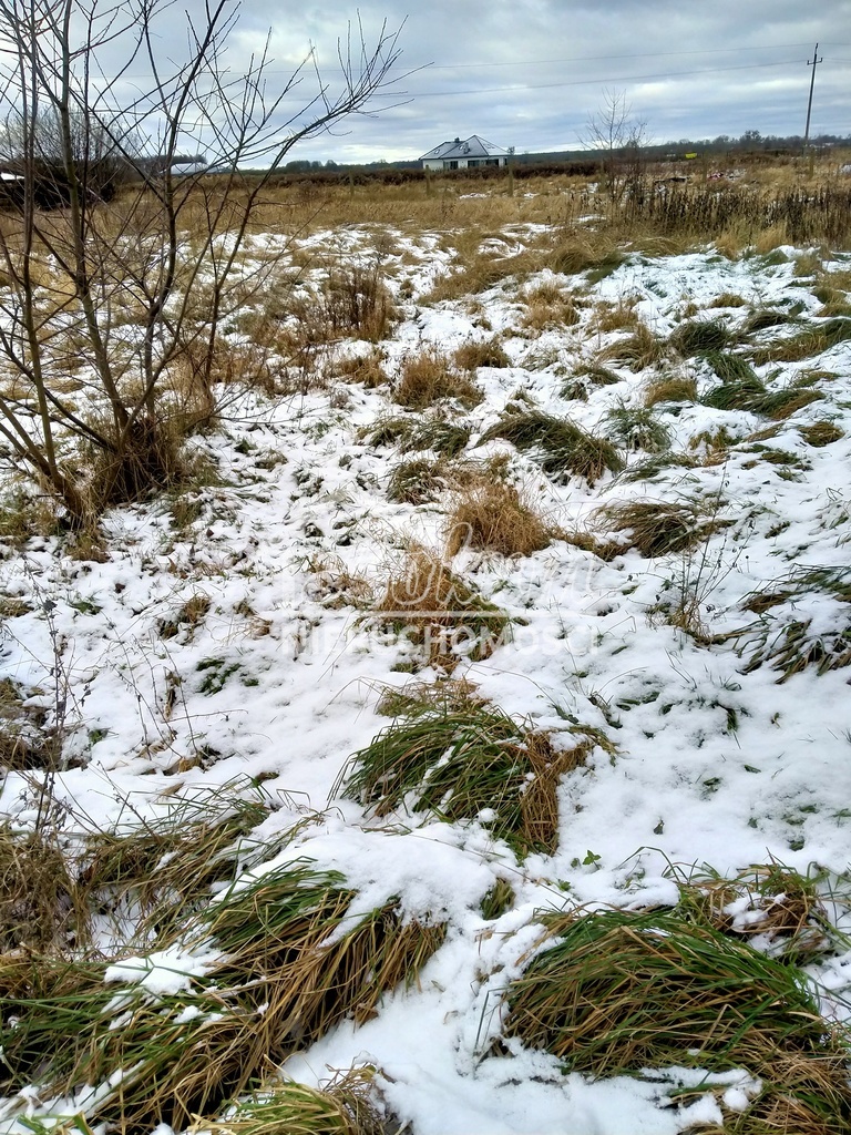 Działka rolna 2241&nbsp;m², Kliniska Wielkie - zdjęcie 2