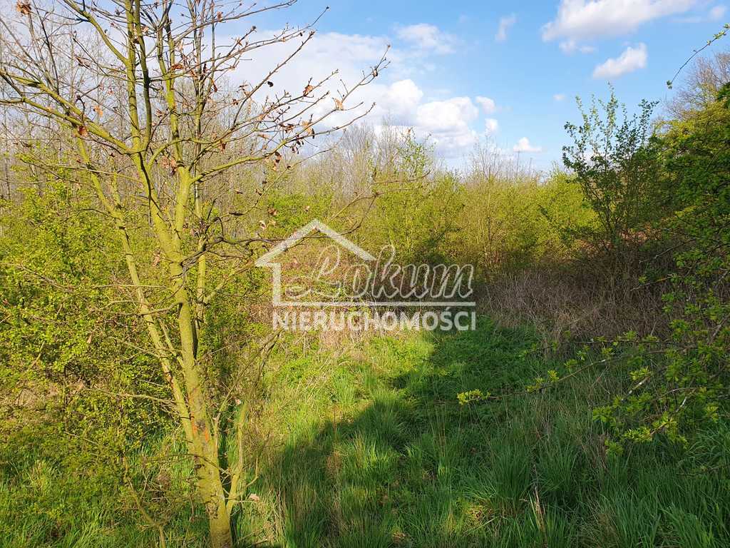 Działka budowlana 1131&nbsp;m², Zieleniewo - zdjęcie 8