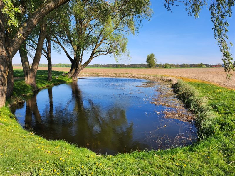 Działka budowlana 1000 m², Gołanice, Sportowa - zdjęcie 2