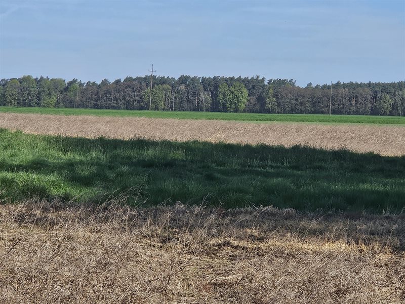 Działka budowlana 1000 m², Gołanice, Sportowa - zdjęcie 7