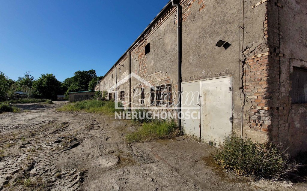 Magazyn do wynajęcia, 898,41&nbsp;m², Szczecin - zdjęcie 12