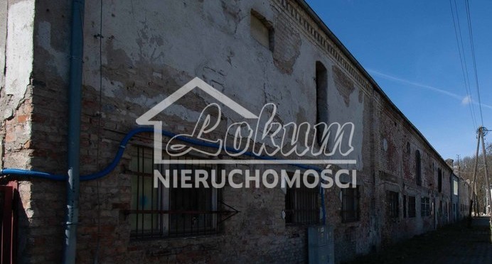 Magazyn do wynajęcia, 898,41&nbsp;m², Szczecin - zdjęcie 3