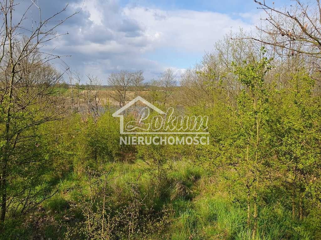 Działka rekreacyjna 1124&nbsp;m², Zieleniewo - zdjęcie 5