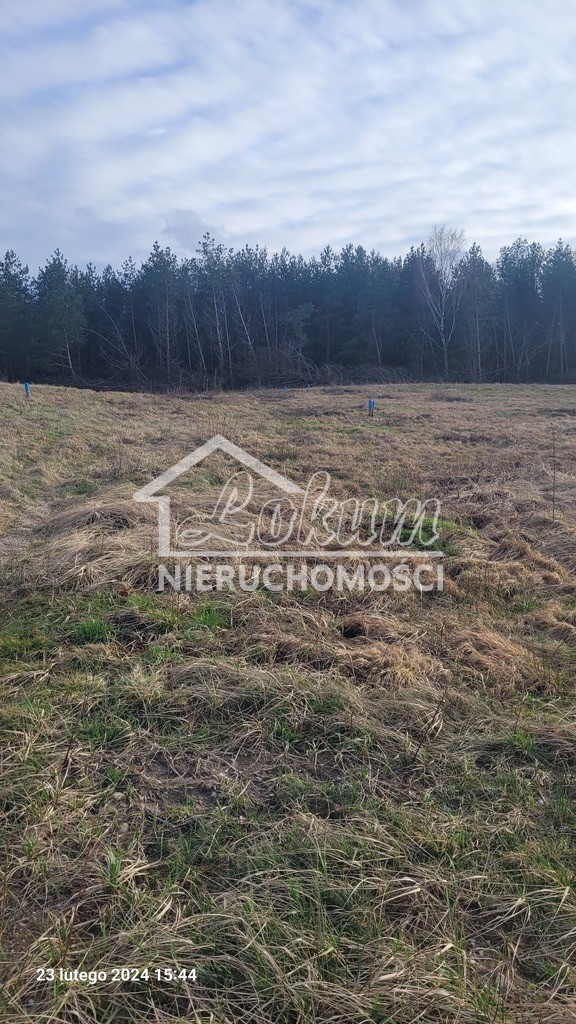 Działka rekreacyjna 1124&nbsp;m², Zieleniewo - zdjęcie 3