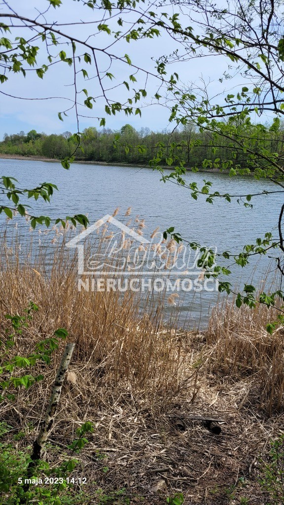 Działka rekreacyjna 985 m², Zieleniewo - zdjęcie 1