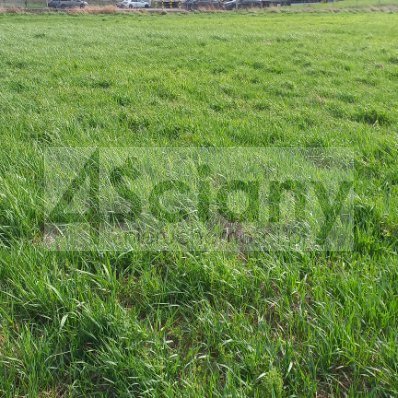 Działka budowlana 1063&nbsp;m², Wolica - zdjęcie 4