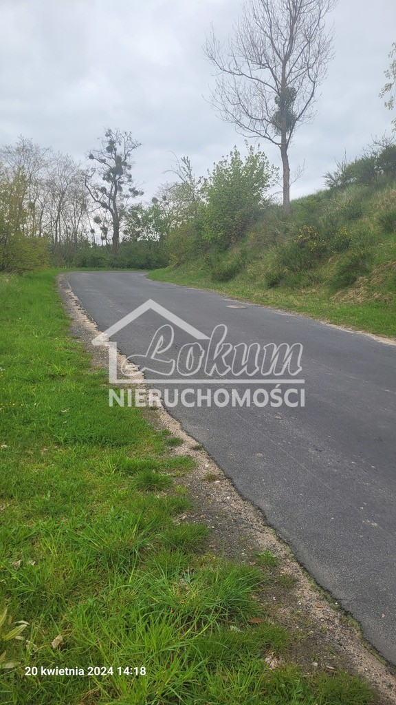 Działka rekreacyjna 1033&nbsp;m², Zieleniewo - zdjęcie 8