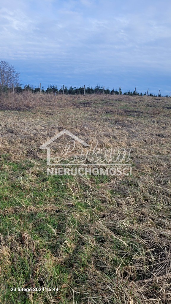 Działka rekreacyjna 1046&nbsp;m², Zieleniewo - zdjęcie 3