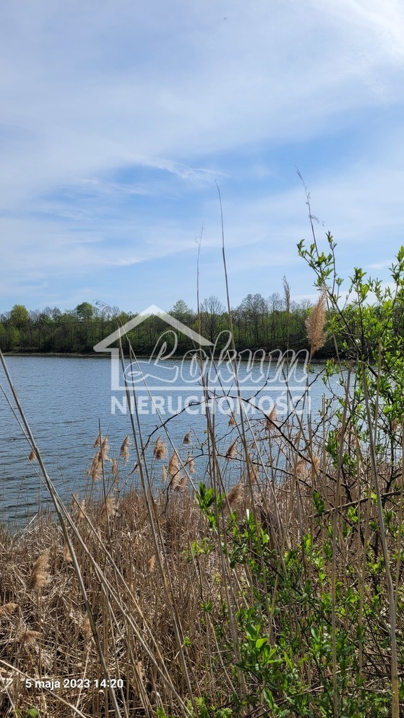Działka rekreacyjna 1046 m², Zieleniewo - zdjęcie 1