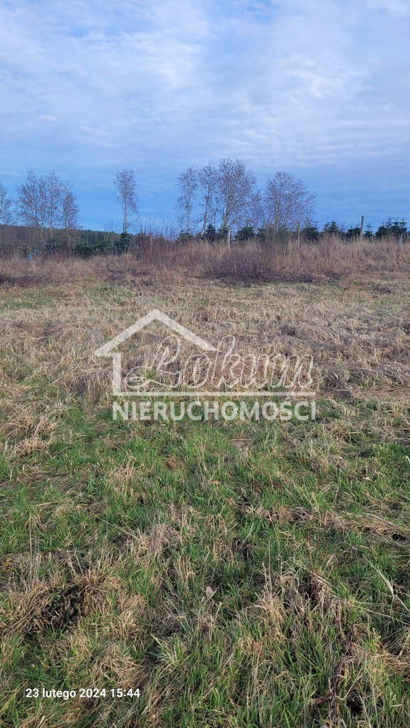 Działka rekreacyjna 1015&nbsp;m², Zieleniewo - zdjęcie 3