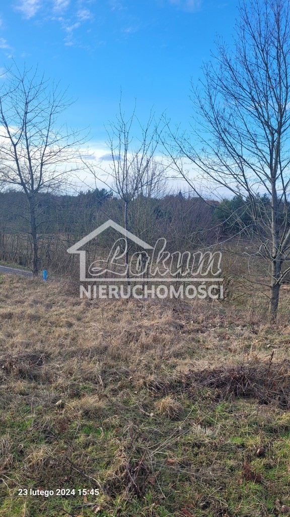 Działka rekreacyjna 1015&nbsp;m², Zieleniewo - zdjęcie 2