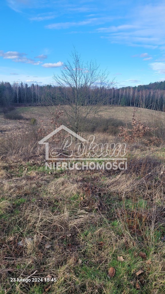 Działka rekreacyjna 1174&nbsp;m², Zieleniewo - zdjęcie 8