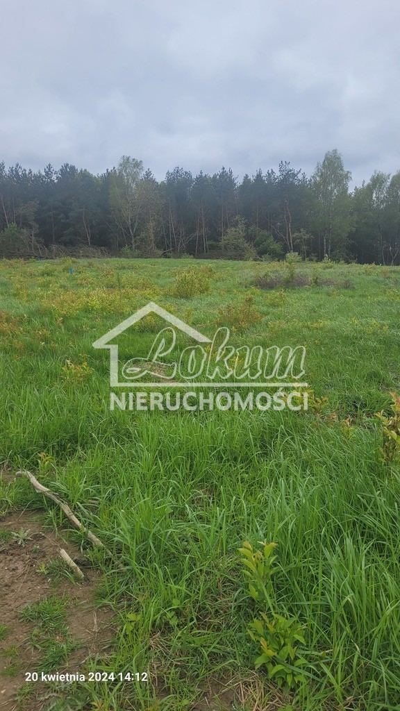 Działka rekreacyjna 1174&nbsp;m², Zieleniewo - zdjęcie 2
