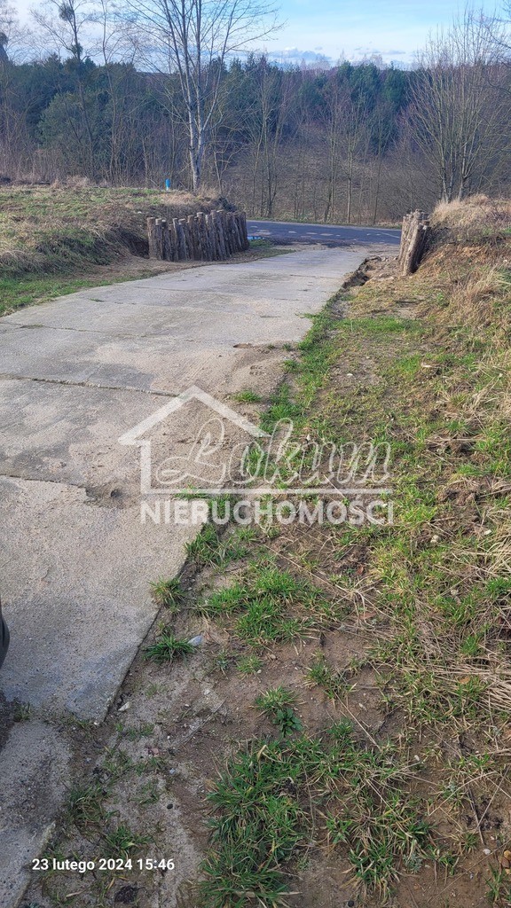 Działka rekreacyjna 1174&nbsp;m², Zieleniewo - zdjęcie 4