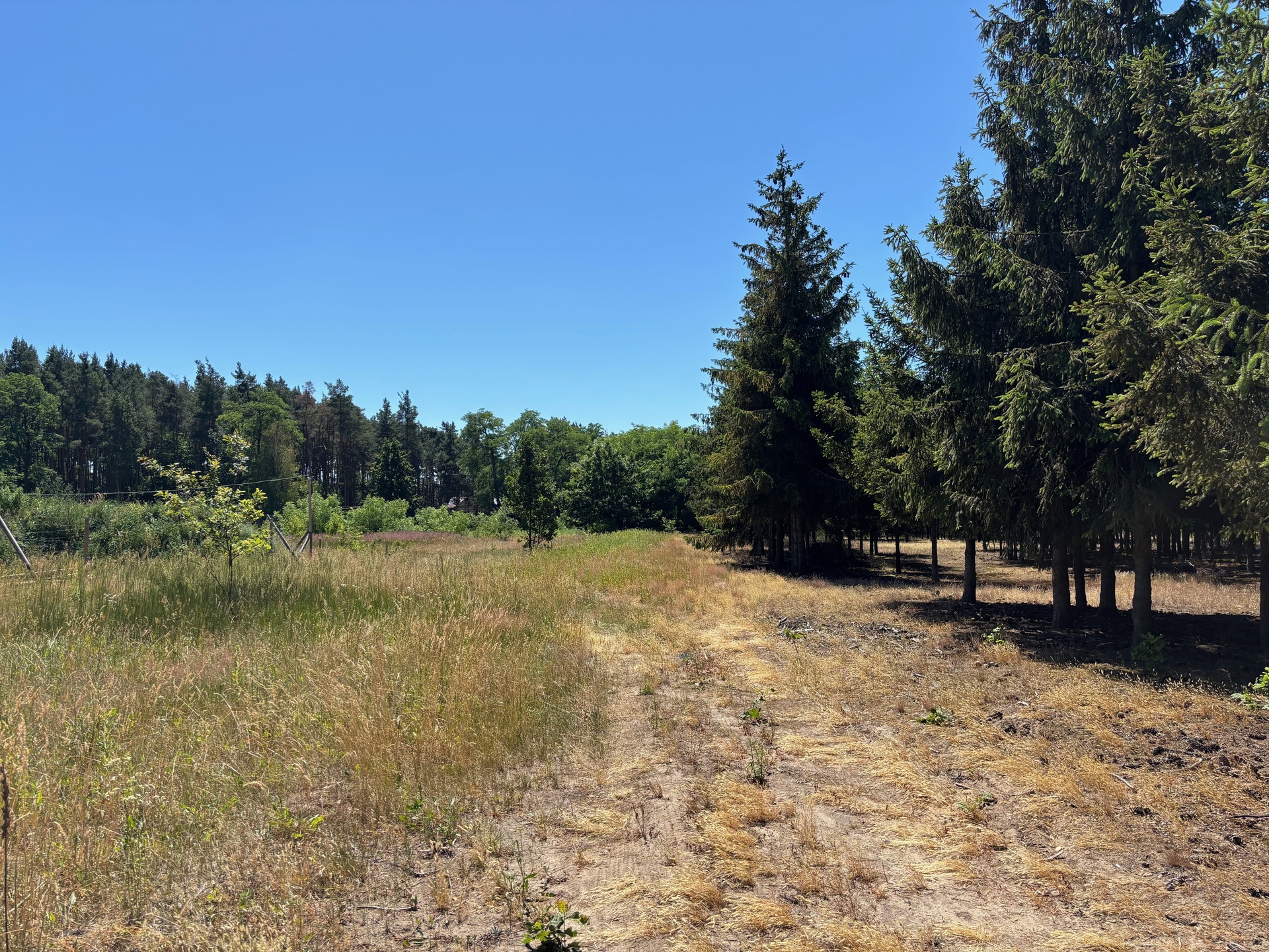 Prace Duże ładna dzialka budowlana - zdjęcie 2