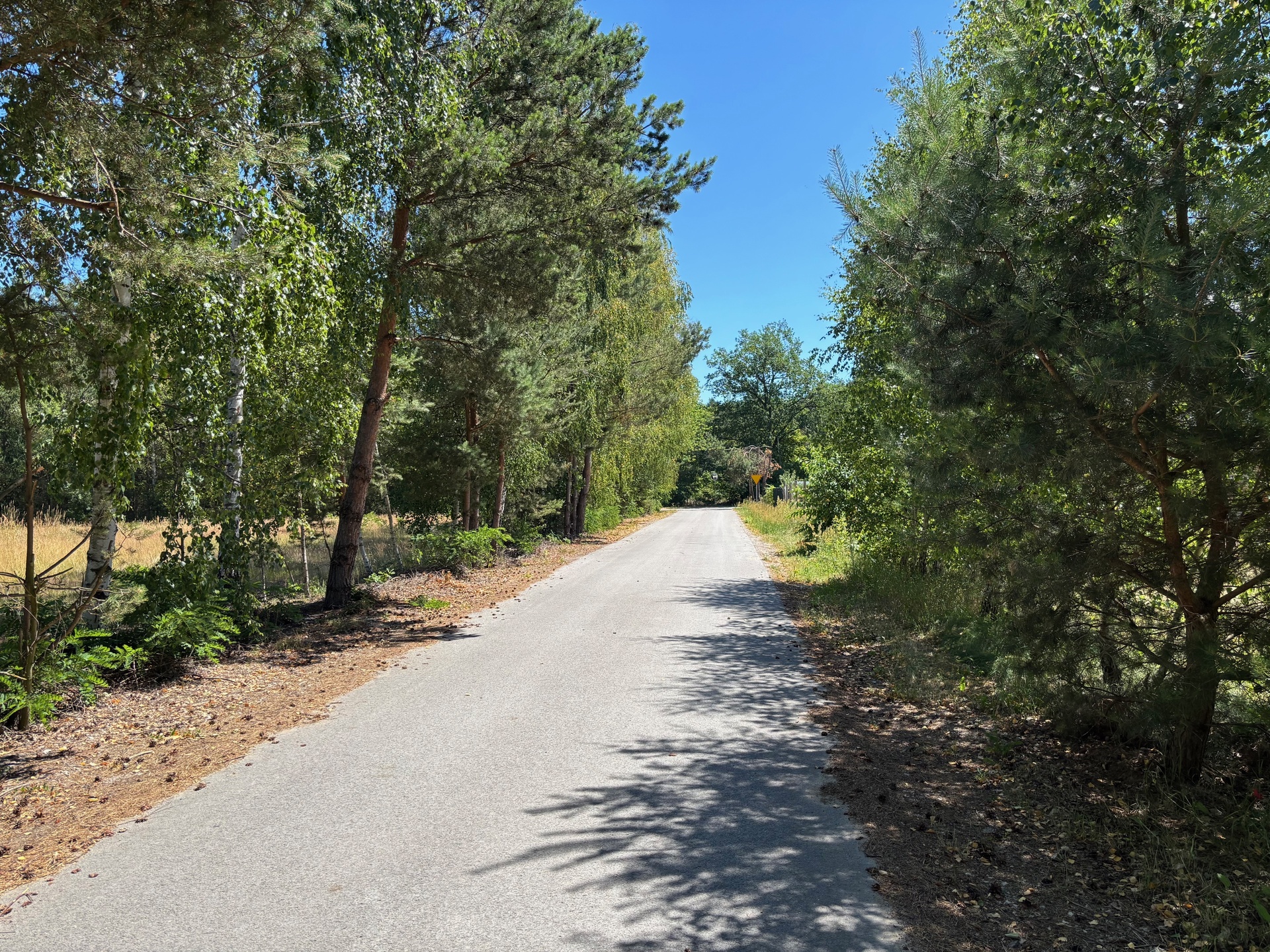 Prace Duże ładna dzialka budowlana - zdjęcie 3