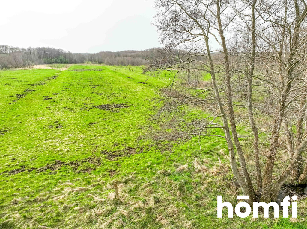 Działka rolna 2,35 ha, Sasino - zdjęcie 14