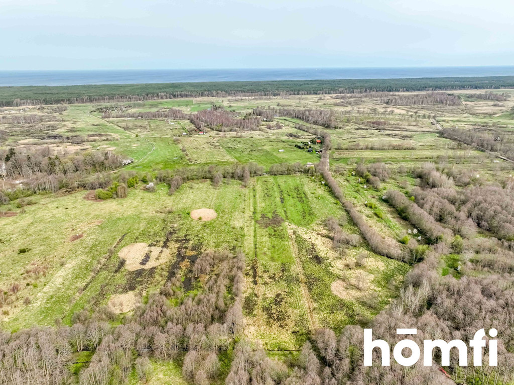Działka rolna 2,35 ha, Sasino - zdjęcie 4
