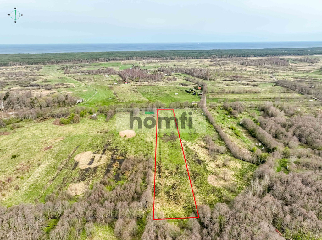Działka rolna 2,35 ha, Sasino - zdjęcie 12
