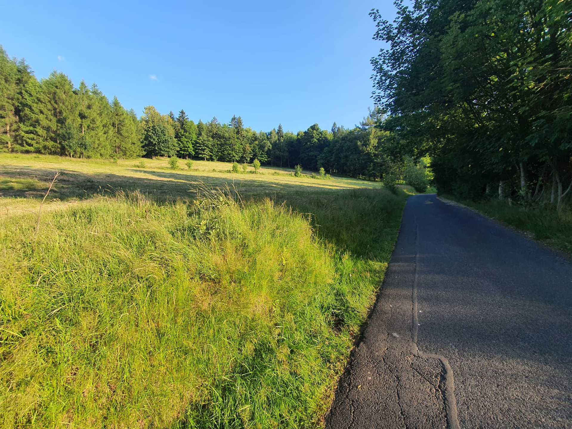 Świradów Zdrój, ul. Spokojna, blisko Gondola - zdjęcie 6