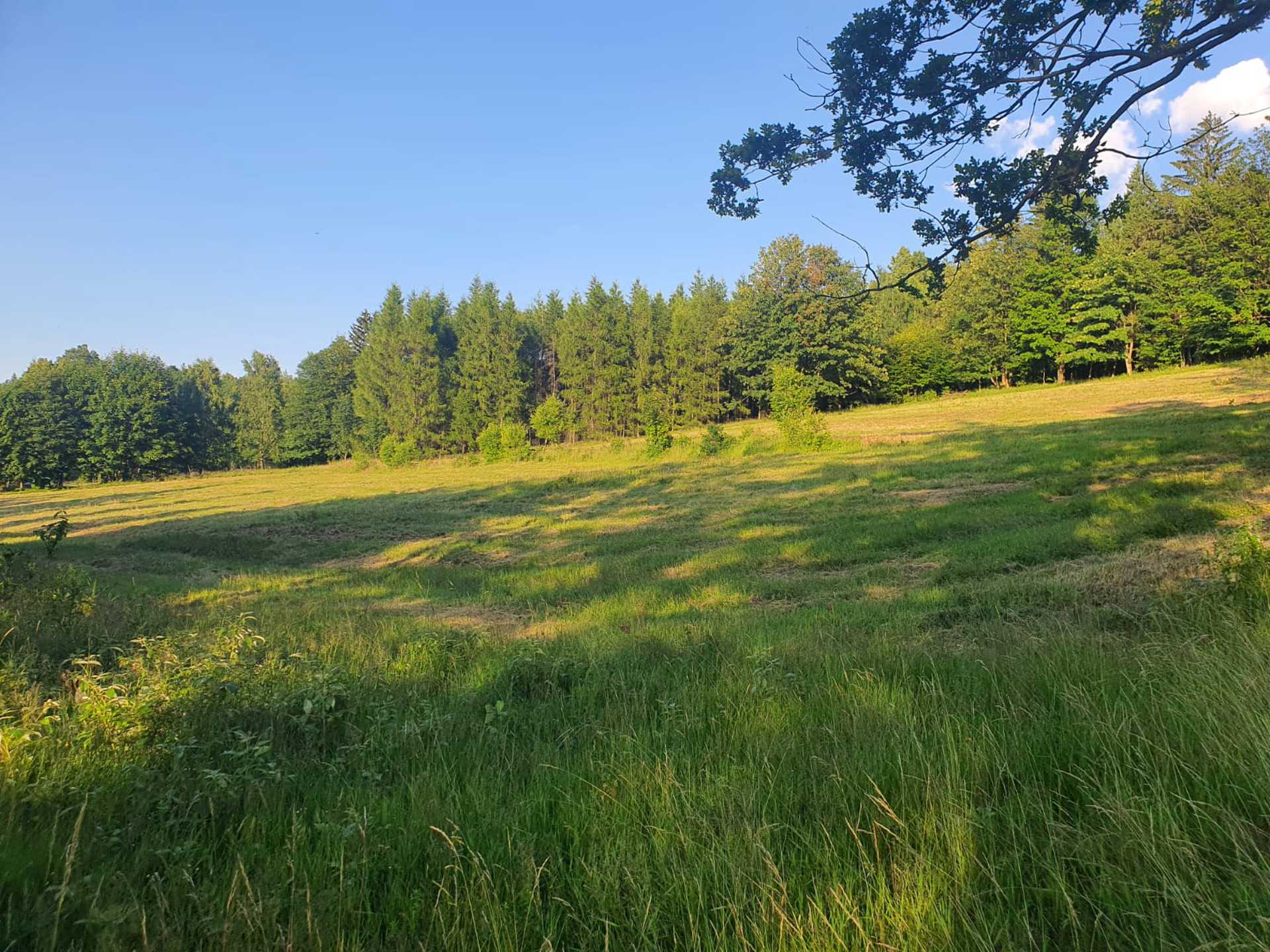 Świradów Zdrój, ul. Spokojna, blisko Gondola - zdjęcie 5