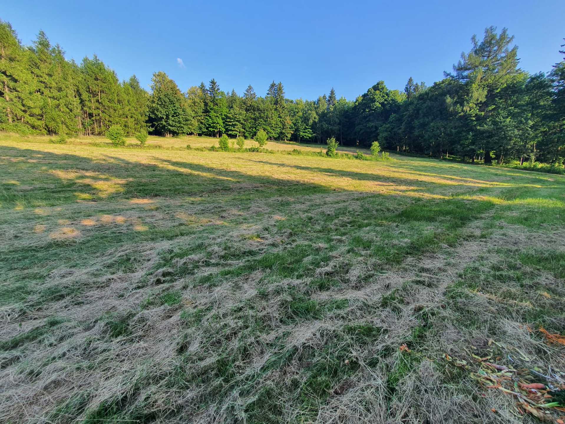 Świradów Zdrój, ul. Spokojna, blisko Gondola - zdjęcie 3