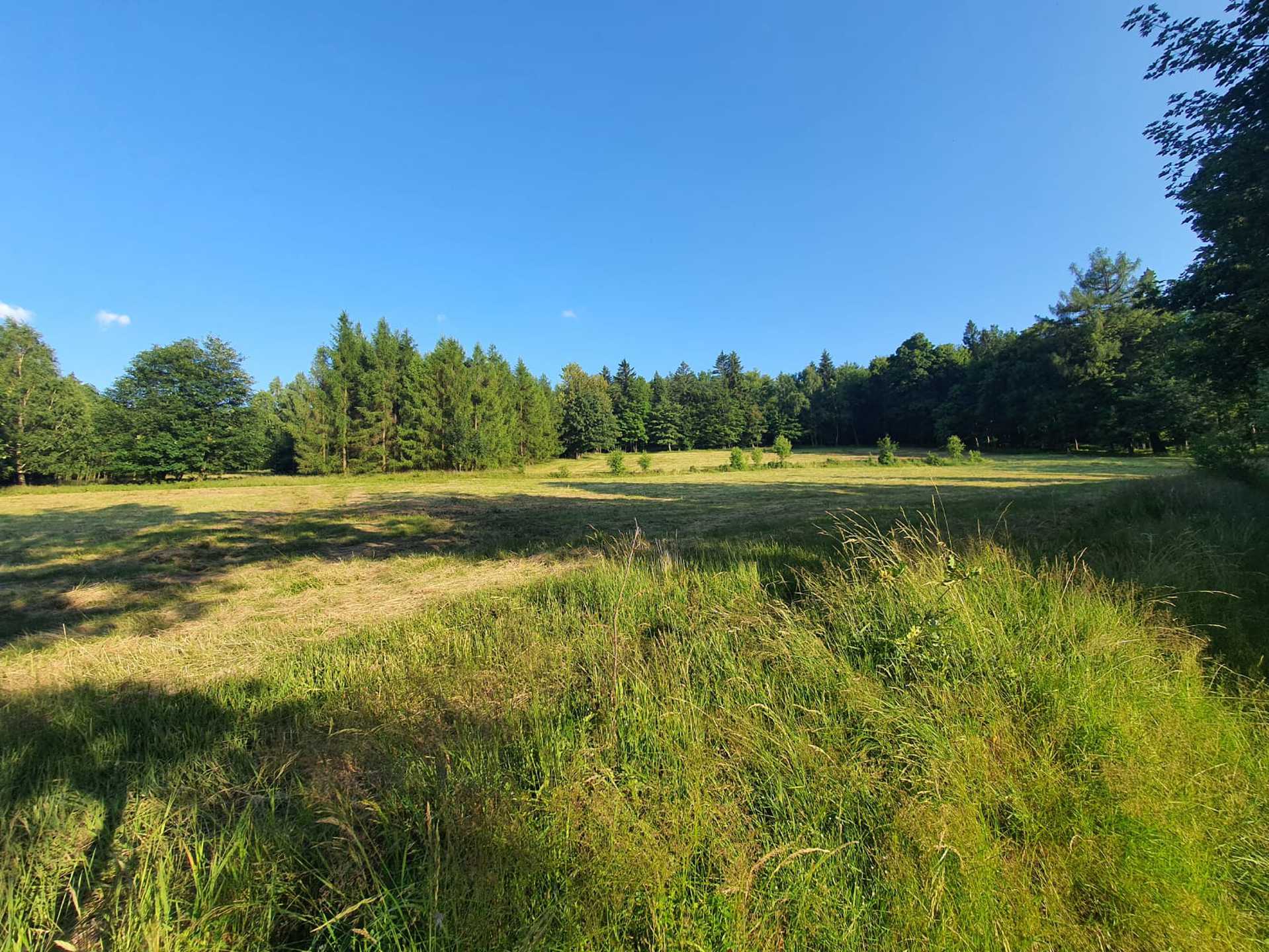 Świradów Zdrój, ul. Spokojna, blisko Gondola - zdjęcie 2