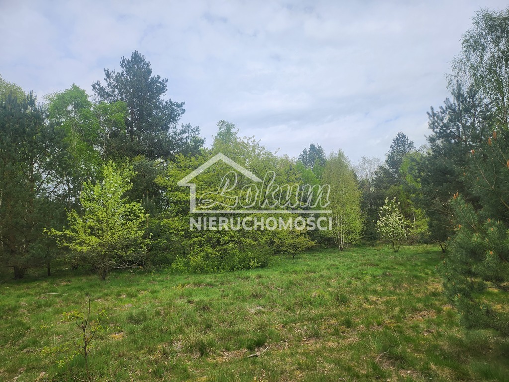 Działka budowlana 1292&nbsp;m², Tanowo, Brzozowa - zdjęcie 1