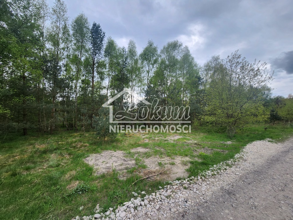 Działka budowlana 1292&nbsp;m², Tanowo, Brzozowa - zdjęcie 3