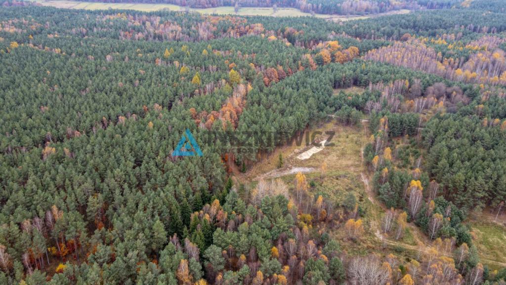 Działka budowlana otulinie lasu - zdjęcie 5