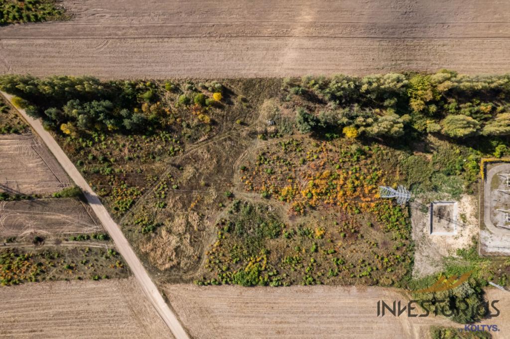 Działka Przemysłowa/Warszawa-45 min./Media/1HA34m2 - zdjęcie 9