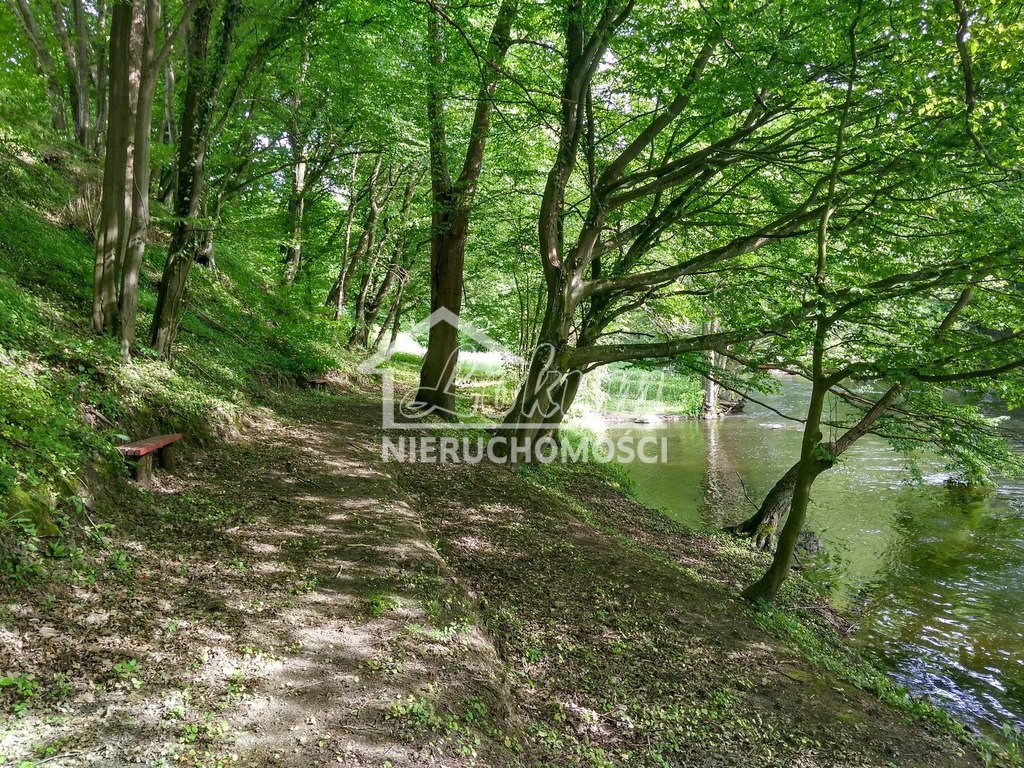 Działka budowlana 2010 m², Barnimie - zdjęcie 6
