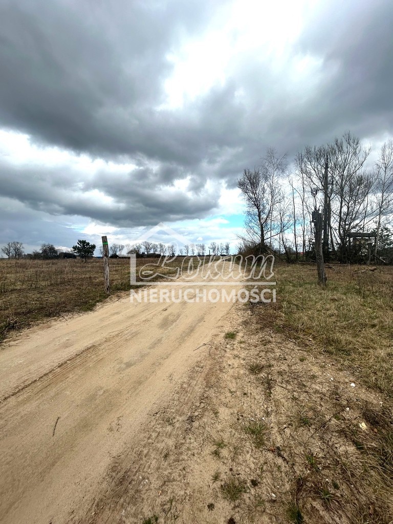 Działka budowlana 2010&nbsp;m², Barnimie - zdjęcie 4