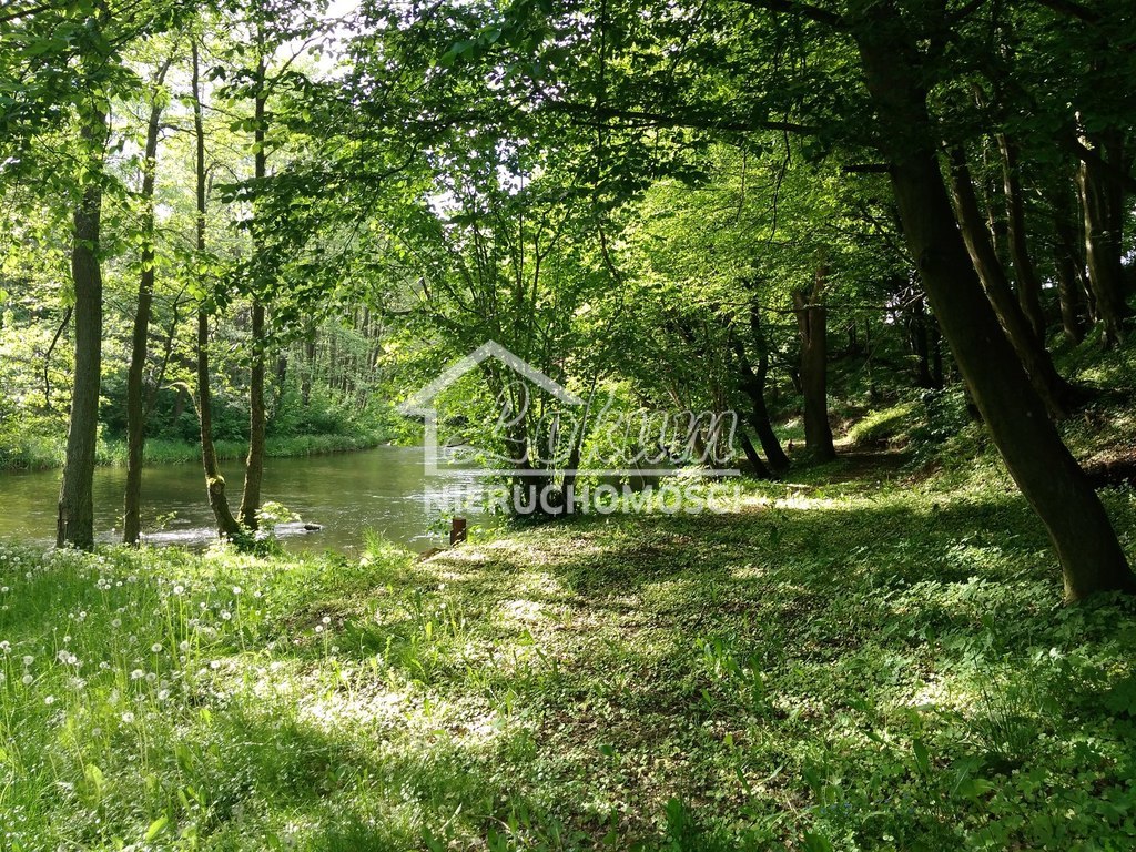 Działka budowlana 2010&nbsp;m², Barnimie - zdjęcie 2