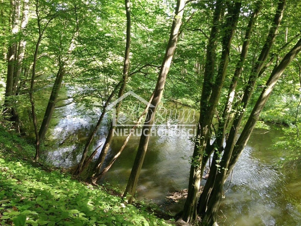 Działka budowlana 2010 m², Barnimie - zdjęcie 5