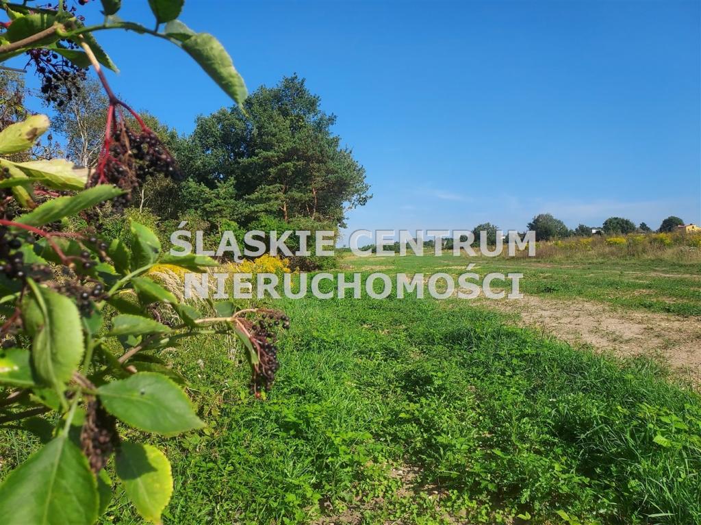 Działka budowlana 658 m², Sadowie, Dworska - zdjęcie 3