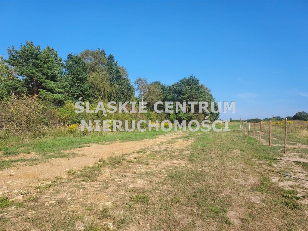 Działka budowlana 658 m², Sadowie, Dworska - zdjęcie 9